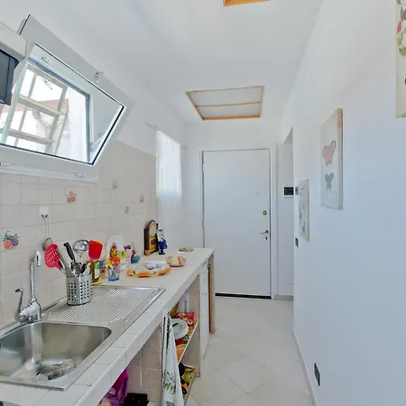 Apartment Dream *
